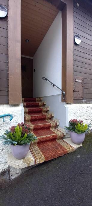 Chalet Maithili Lauterbrunnen -152-Year-Old Majestic Chalet Esterno foto